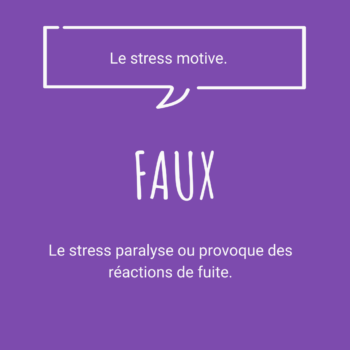 3fausses croyances stress